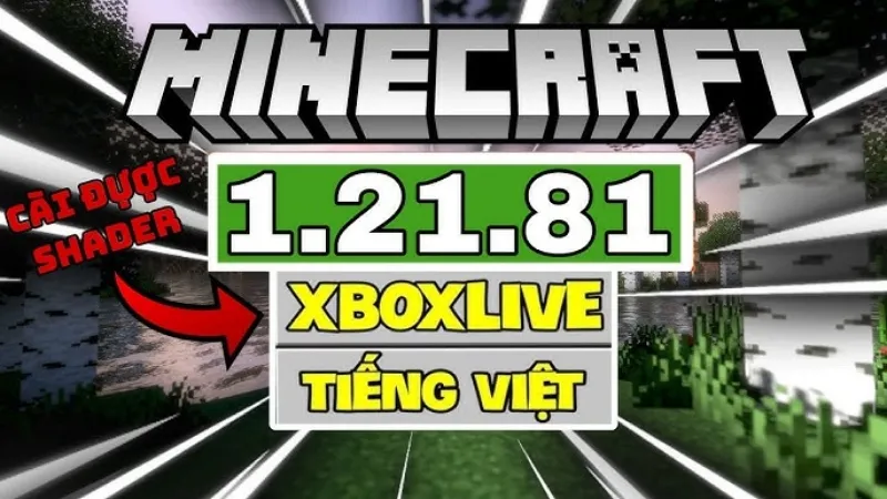 Minecraft 1.21.81