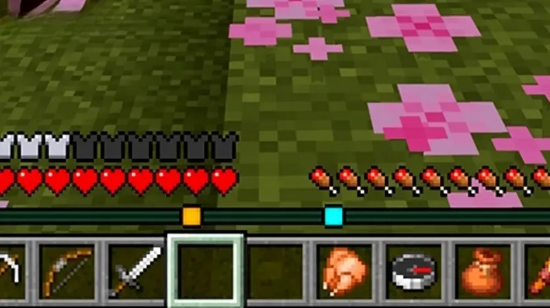 Minecraft 1.21.81