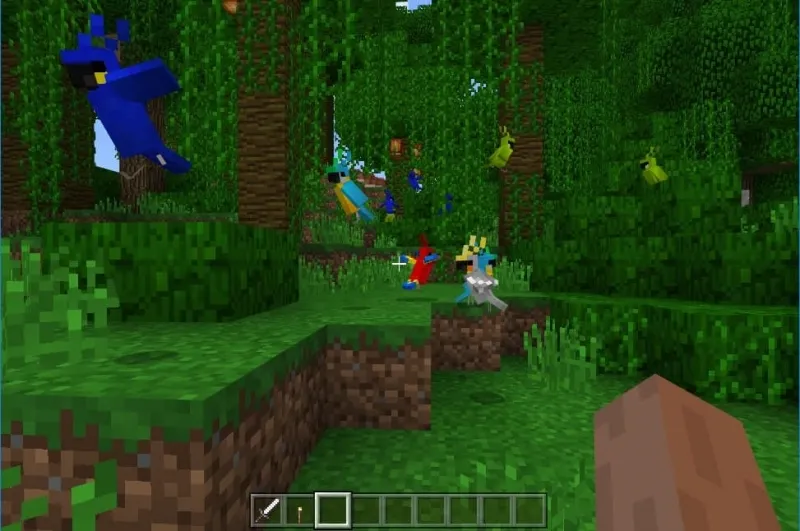 Con vật Vẹt trong Minecraft 1.21.80 Con vật Vẹt trong Minecraft 1.21.80