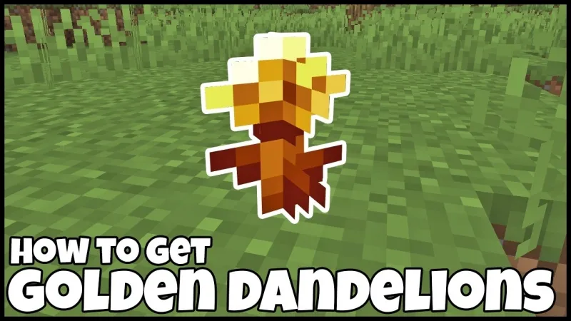 Golden Dandelion Trong Minecraft 26.1