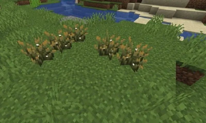 Minecraft 1.21.72