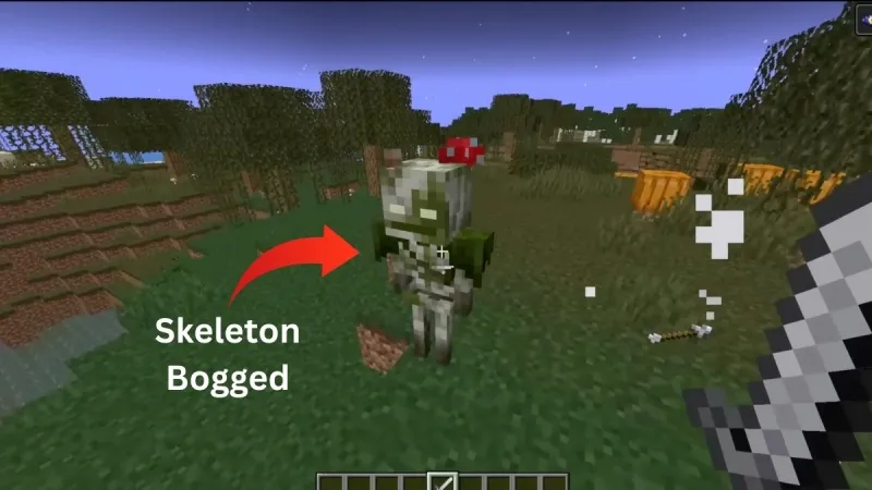 Minecraft 1.21.21