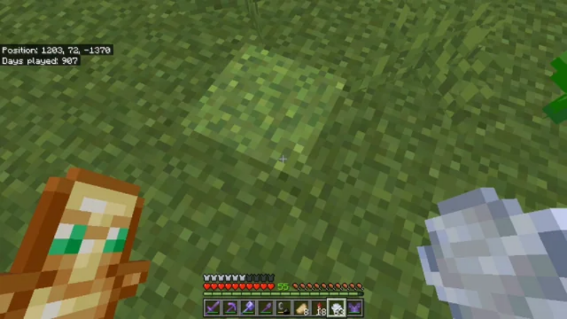 Minecraft 1.21.21