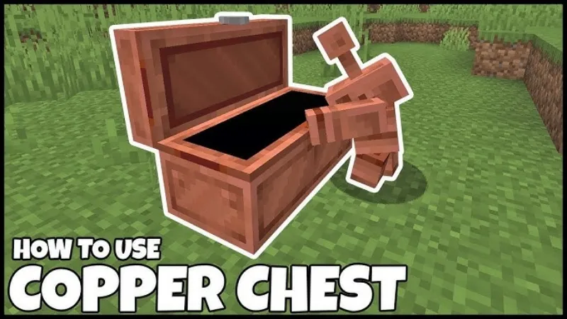 Minecraft 1.21.100