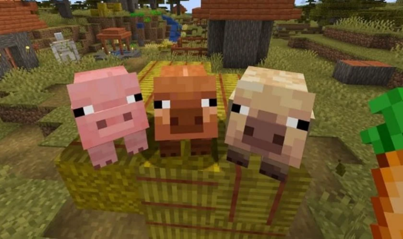 Minecraft 1.21.60