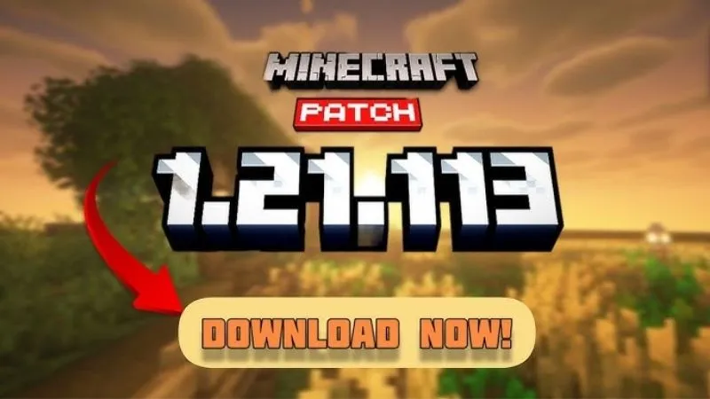 Thông Tin Về Minecraft 1.21.113 APK