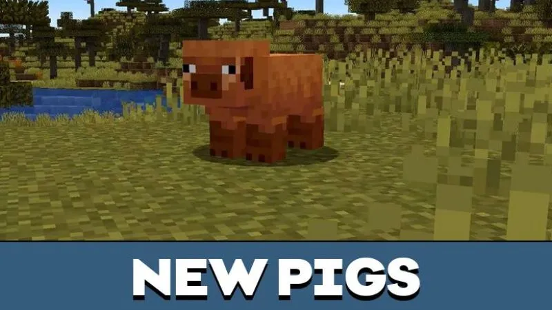 Lợn Xuất Hiện Thêm Biến Thể Theo Từng Quần Xã Sinh Vật Trong Minecraft 1.21.61