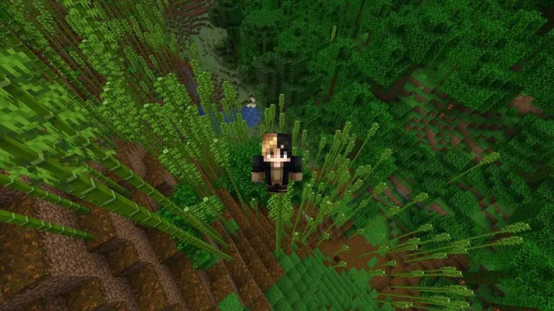 Những Lưu Ý Cốt Yếu Khi Tiến Hành Cài Đặt Minecraft 1.21.61