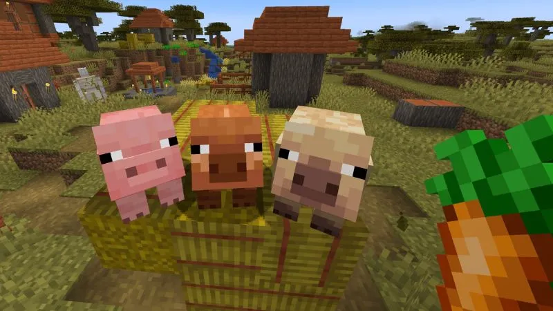 Lợn Xuất Hiện Với 3 Biến Thể Sinh Học Khác Nhau Trong Minecraft 1.21.71