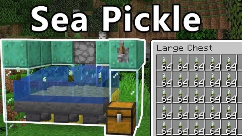 Sửa Lỗi Đặt Sea Pickles Trong Minecraft 1.21.73